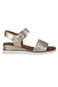 Amine Leather Wedge in Gold