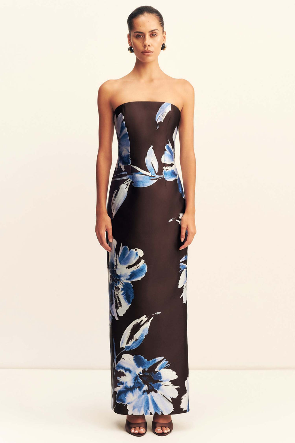Elsa Panelled Strapless Maxi Dress in Espresso/ Blue