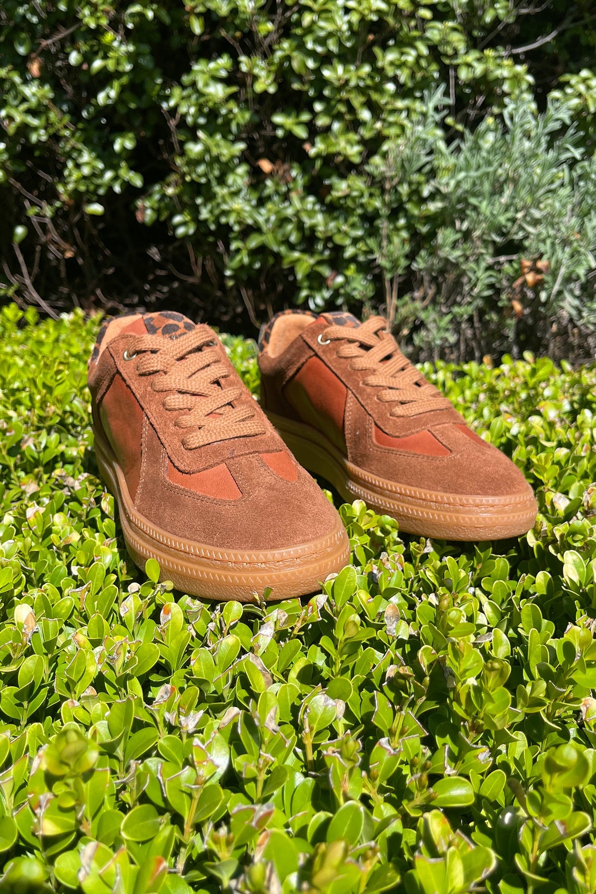 Eslyn Leather Suede Sneakers in Tan