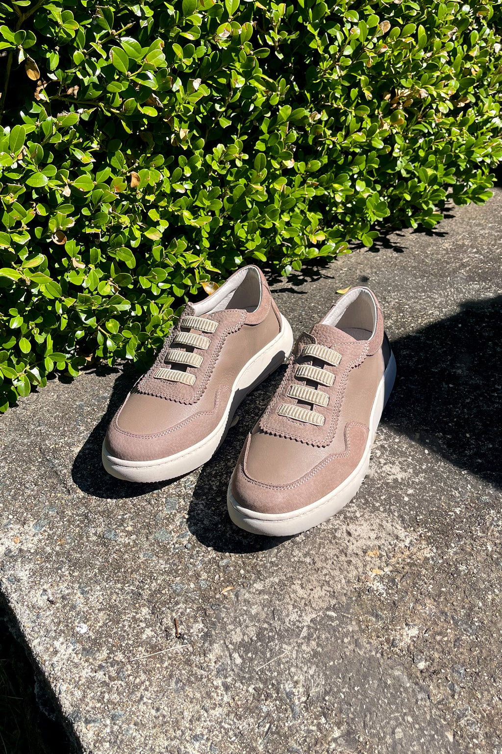 Eve Leather Suede Sneaker in Dark Stone
