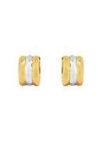Farrah Earrings in Two Tone