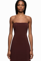 Romee Strapless Maxi Dress in Raisin