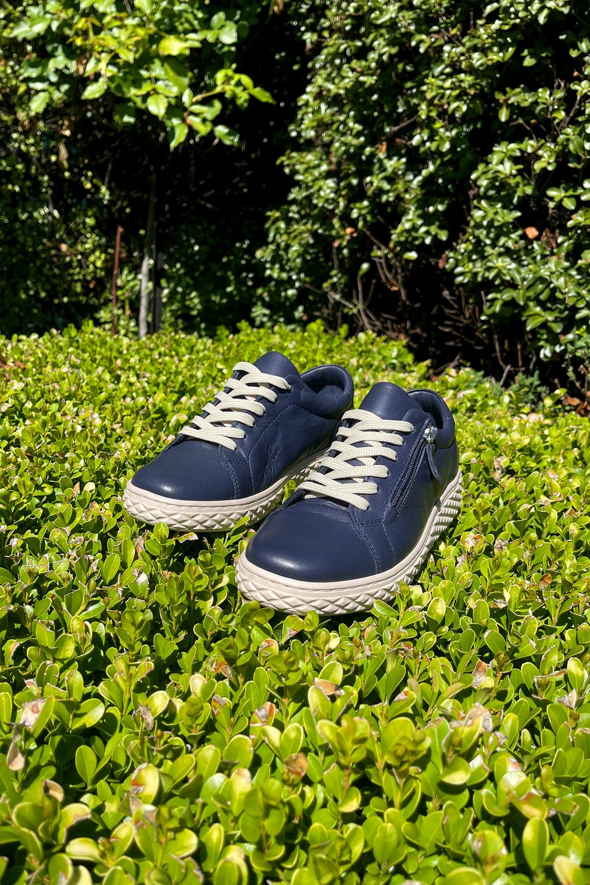 Rose Leather Sneaker in Navy